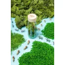 Petit Boum szenzoros játék - Spy bottle - Dzsungel