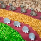 Petit Boum szenzoros játék - Spy Bottle - Erdő