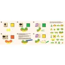 Nyomda készlet képekkel Bogarak Avenir Kids