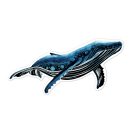 Karckép matricák, Tengeri élőlények Avenir