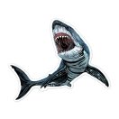 Karckép matricák, Tengeri élőlények Avenir