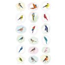 Viaszpecsét matricák, Madarak Avenir