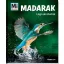 Madarak - Légi akrobaták