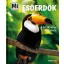Esőerdők - A titokzatos zöld kincs - Mi micsoda
