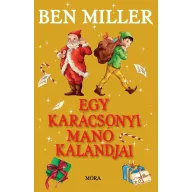 Egy karácsonyi manó kalandjai