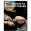 Mi MICSODA Múmiák és lápi hullák
