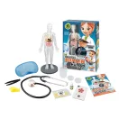 Tudományos készlet-Az emberi test Buki