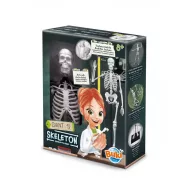 Összeépíthető emberi csontváz 45 cm-es BUKI