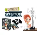 Összeépíthető emberi csontváz 45 cm-es BUKI