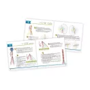 Fiús karkötő készítő BUKI