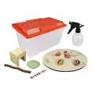 Csiga megfigyelő terrárium BUKI