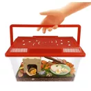 Csiga megfigyelő terrárium BUKI