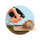 Csiga megfigyelő terrárium BUKI