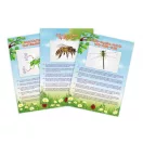 Vákuumos rovarfogó készlet BUKI