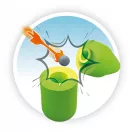 Játék csúzli nyilakkal és habszivacs palackkal Buki