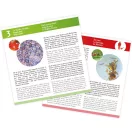 Preparációs szett mikroszkóphoz 20 db kártyával  BUKI