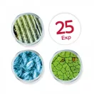 Kézi videómikroszkóp BUKI