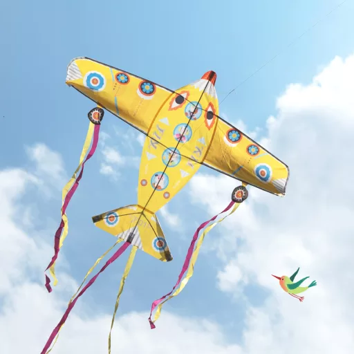 Djeco Szélsárkány - Óriás repülő - Maxi Plane