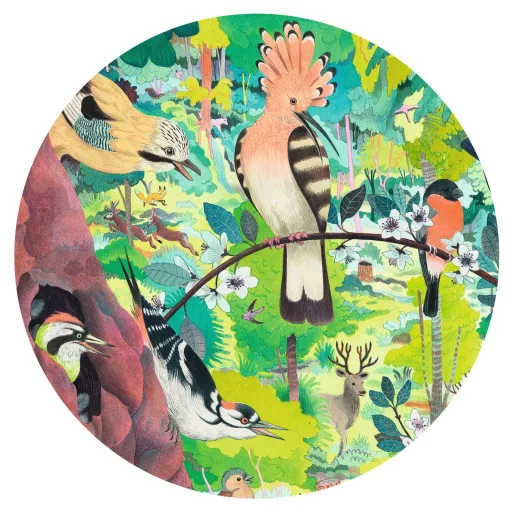 Djeco Művész puzzle - Baglyok és madarak, 1000 db-os - Owls and birds