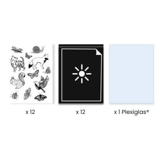   Djeco Művészeti műhely - Napnyomat kezdő készlet - Cyanotype Starter Kit