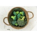 Oli & Carol természetes rágóka - Brucy a brokkoli