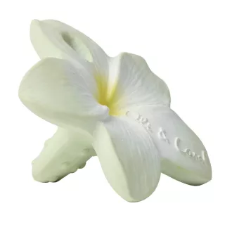 Oli & Carol természetes mini rágóka - Hawaii virág