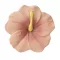 Oli & Carol természetes rágóka - Iris a hibiszkusz