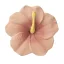 Oli & Carol természetes rágóka - Iris a hibiszkusz