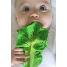 Oli & Carol természetes rágóka - Kelkáposzta levél