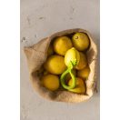 Oli & Carol természetes csörgő rágóka - Citrom