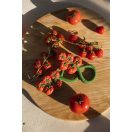 Oli & Carol természetes csörgő rágóka - Koktélparadicsom