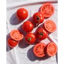 Oli & Carol természetes rágóka - Paradicsomszelet