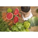 Oli & Carol természetes rágóka - Wally a görögdinnye