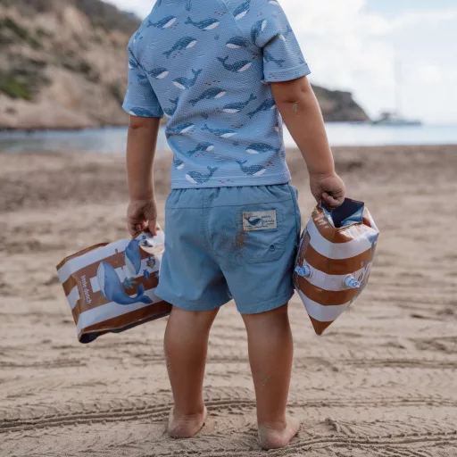 Little Dutch karúszó - Ocean World