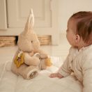 Little Dutch activity plüss nyuszi - Newborn Naturals