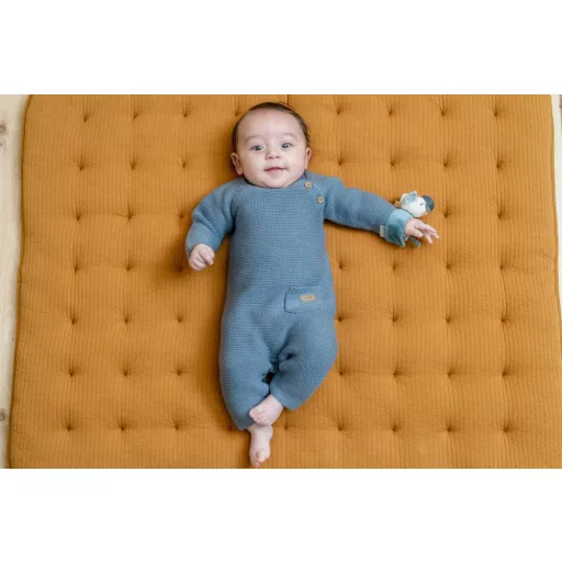 Little Dutch csukló csörgő sirály