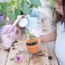 Little Dutch ültető cserép magokkal - Napraforgó