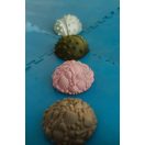 Muffik egyensúlyozó kő - Kagylók rózsaszín