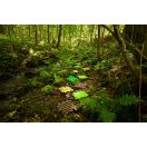 Muffik Touch of nature szett