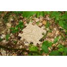 Muffik Touch of nature szett