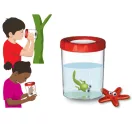 Djeco Forgatható lencsés bogárnézegető