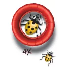 Djeco Forgatható lencsés bogárnézegető