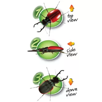   Djeco Három nézőszögű bogárvizsgáló - Triple Bug Viewer – 3 way