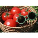 Olivio & Co polarizált napszemüveg 0-18 hó - Cactus green