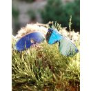 Olivio & Co gyerek sportnapszemüveg 7-10 év - Berry mist