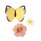 Oli & Carol újszülött ajándékcsomag - Pillangó