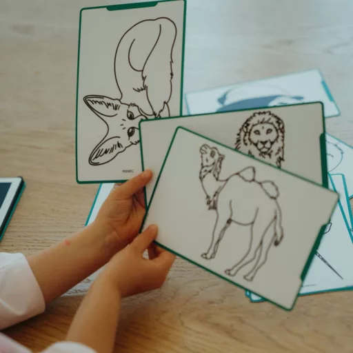 Kidywolf rajzkártya Kidydraw Mini rajztáblához - Állatok és kalózok - Animals & Oceans