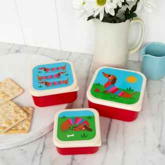 Rex London nasitartó doboz szett - Vidám tacsi