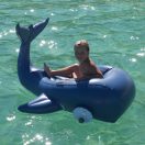 Sunnylife Luxe Ride-On matrac - Moby Dick Navy