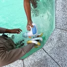 Sunnylife merülőjáték szett (6 db) -  Sid the Seagull